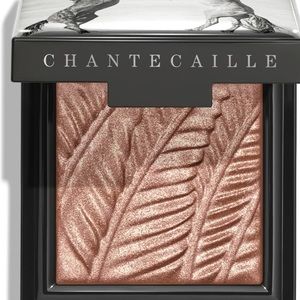 Chantecaille Roan Eyeshadow from the Wild Mustang Collection Fall 2023.